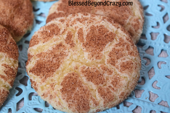 The Softest Gluten Free Snickerdoodle Cookies