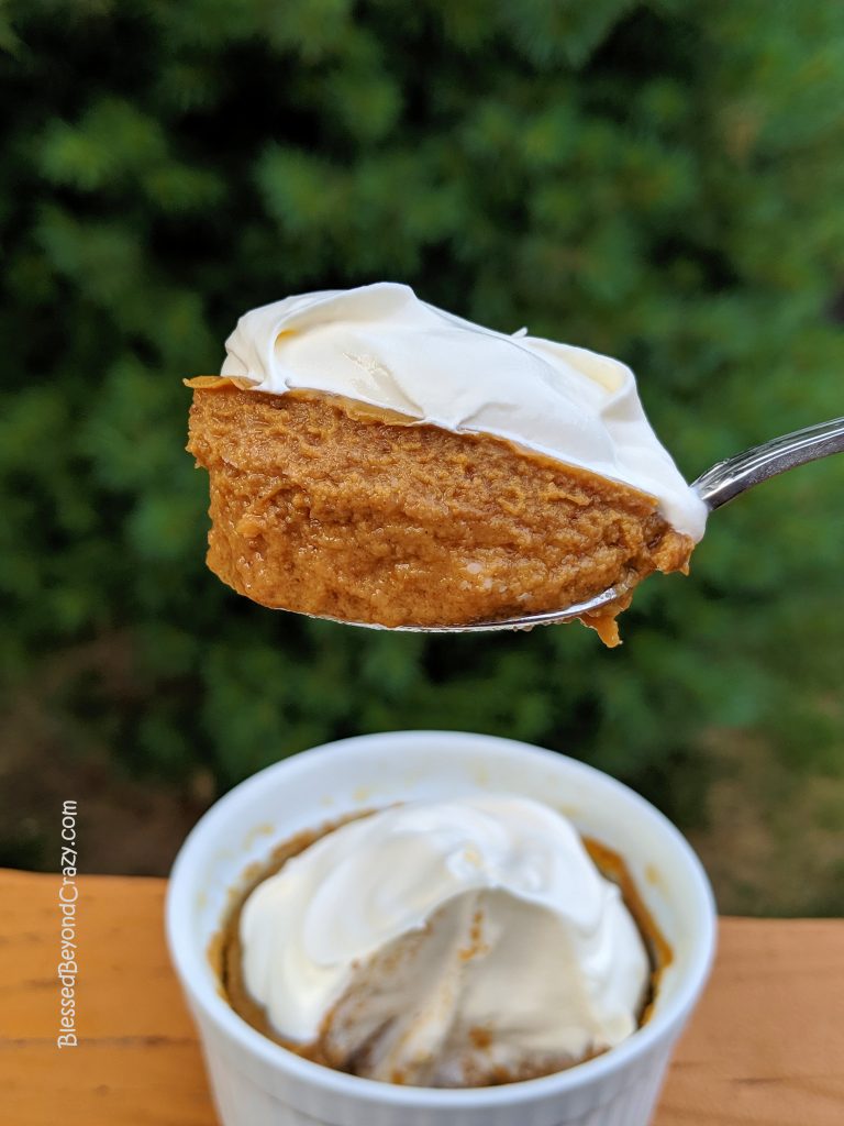 Delicious bite of Lite Maple Pumpkin Crustless Pie