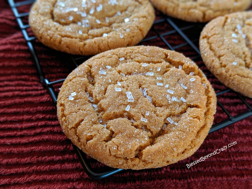 Close up view of Quick and Easy Ginger Snap Cookies