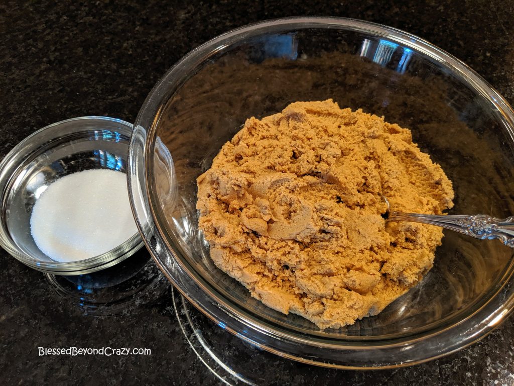 View of Ginger Snap Cookie dough