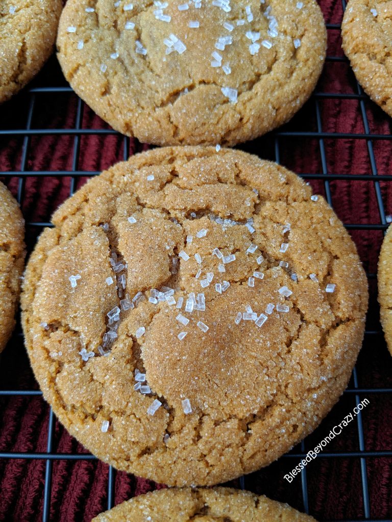 Close up view of bake Ginger Snap Cookies