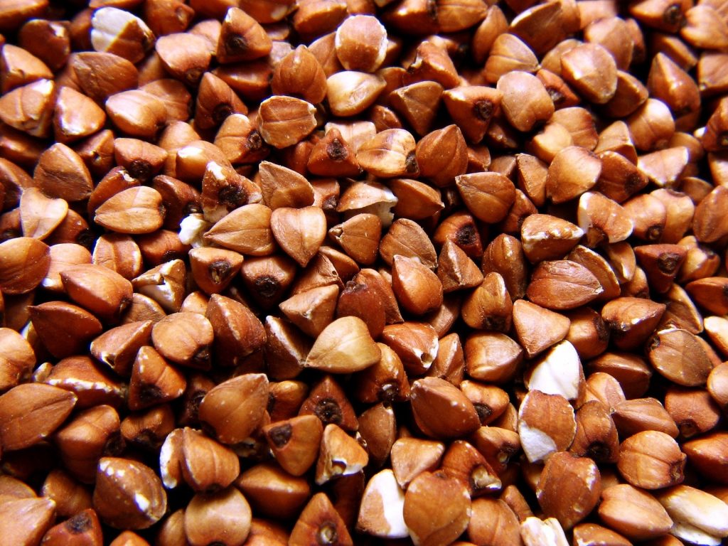 Close up of buckwheat groats