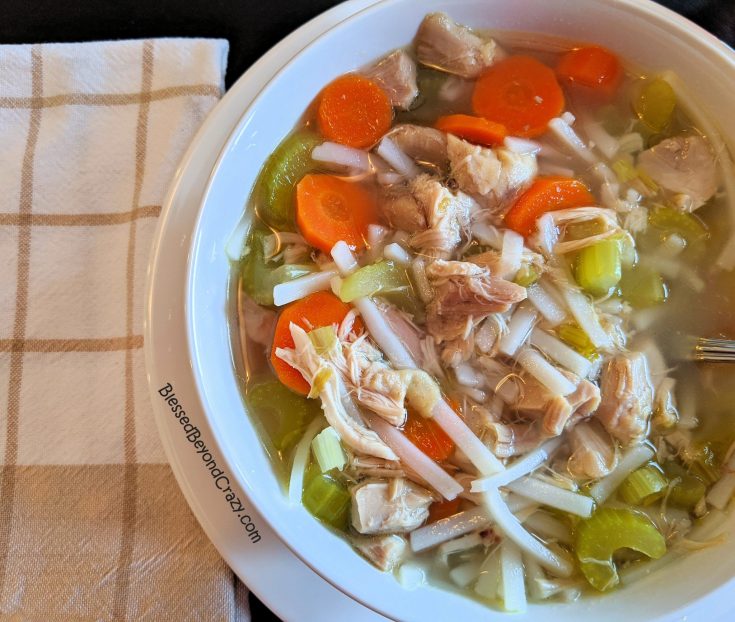 Close up of All-Natural Homemade Chicken Noodle Soup