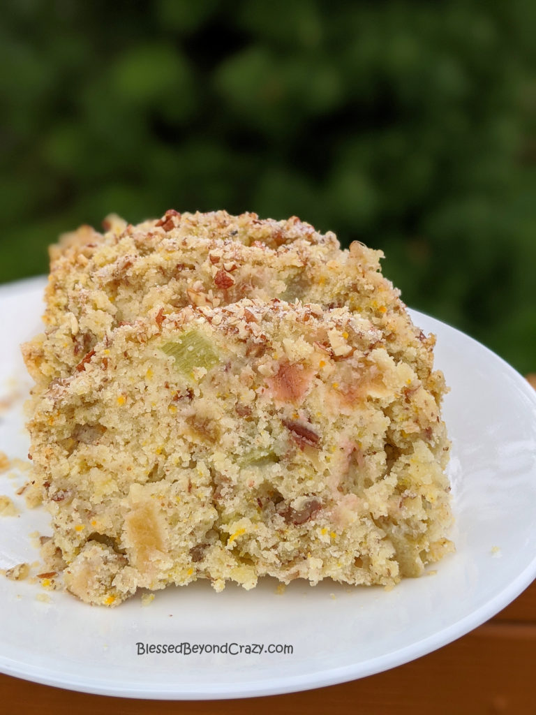 Close-up of slices of gluten-free Rhubarb Pecan Orange-Zest Bread