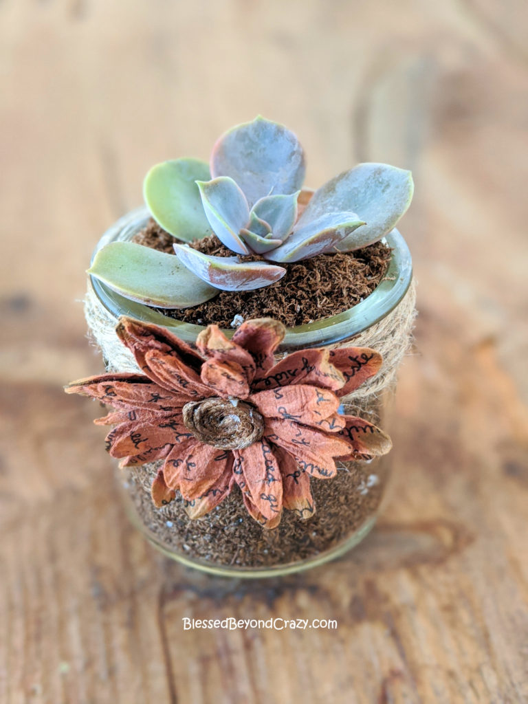 My personal Repurposed Succulent Planter.