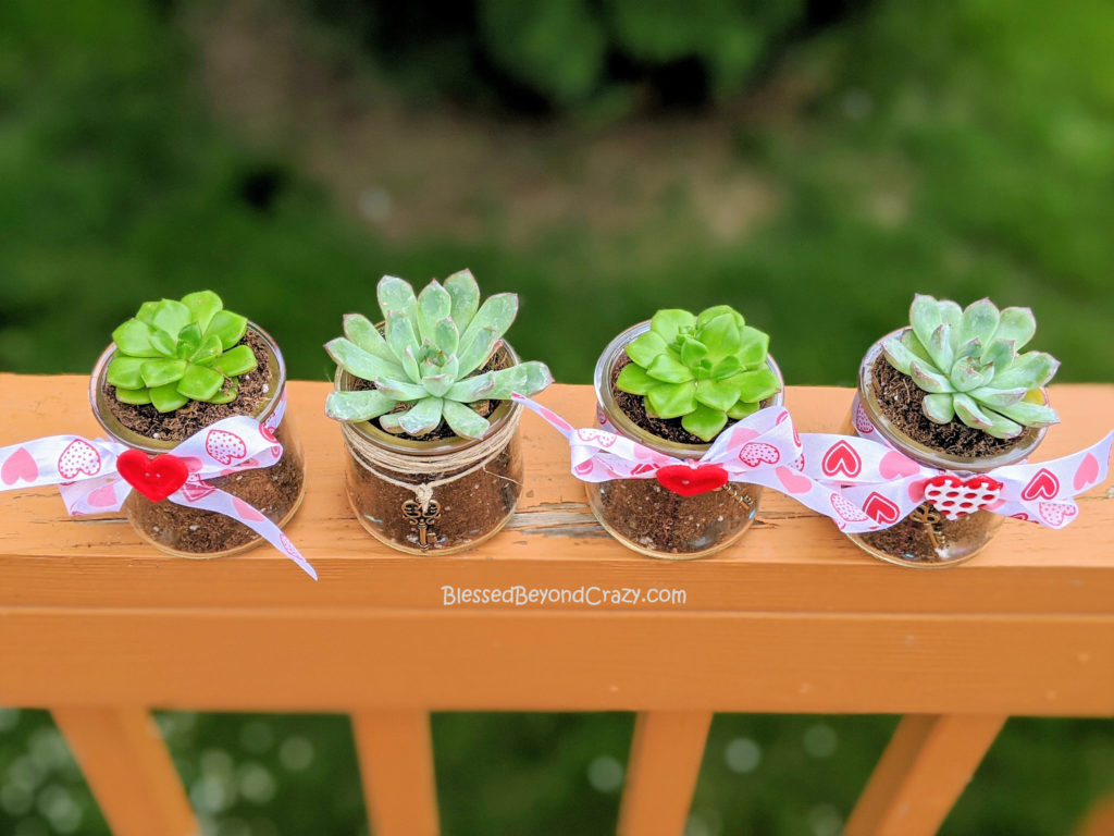 Overhead view of Repurposed Succulent Planters Kids Can Easily Make