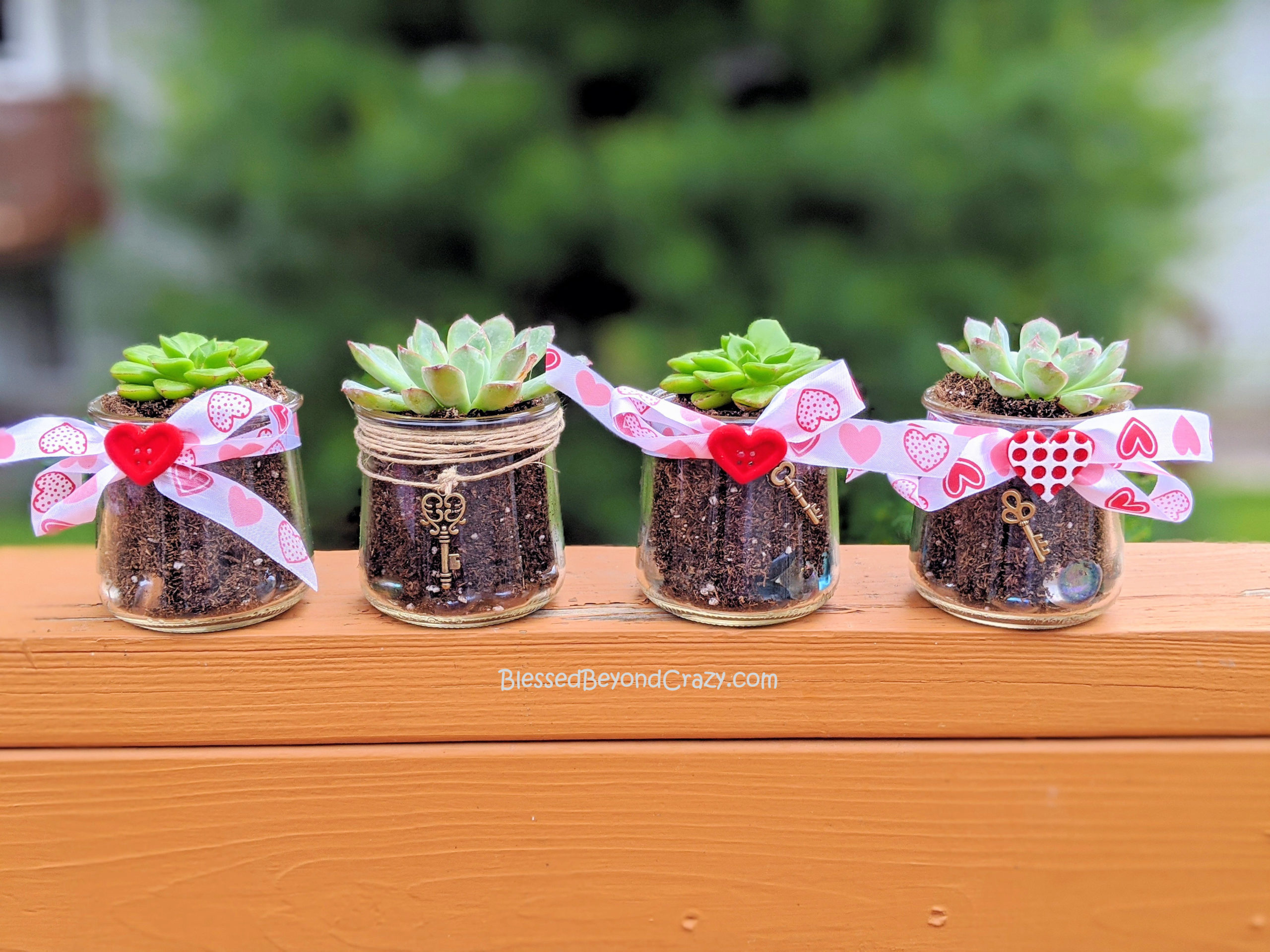 Planting Succulents in Recycled Glass Jars (DIY)