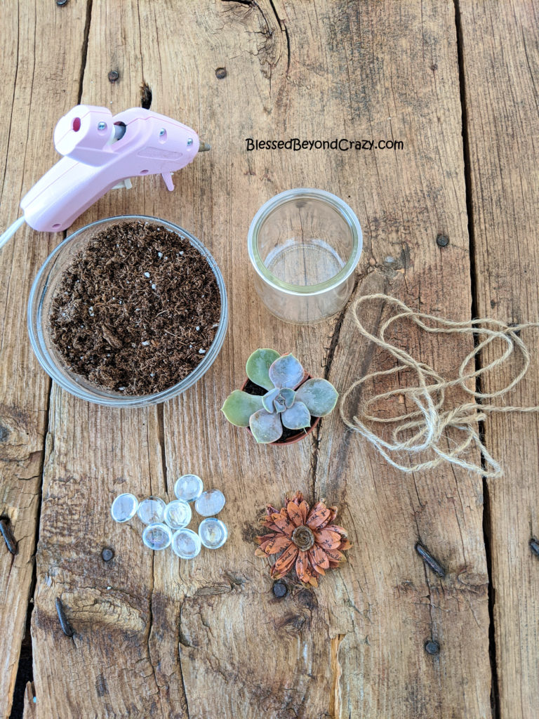 Supplies needed to make Repurposed Succulent Planters. 