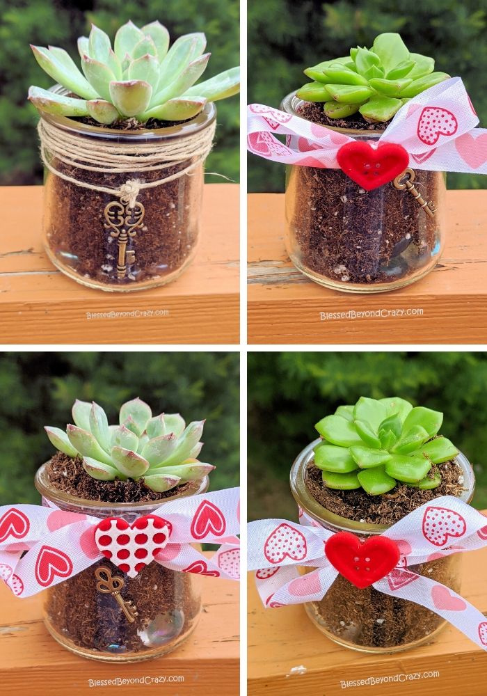 DIY Succulent Planters - Repurpose Glass Yogurt Jars!