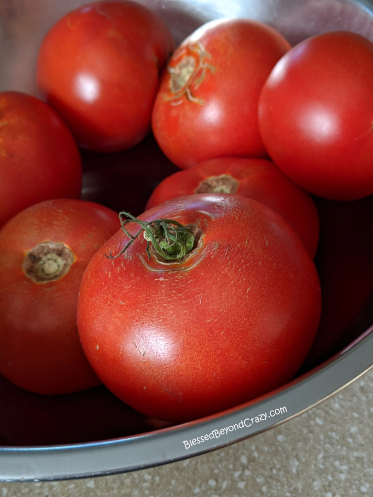 Fresh Homegrown Tomatoes ready to make Homemade Sausage Tomato Soup