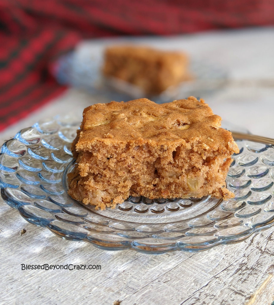 Close-up of serving of apple cake. 