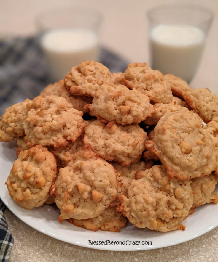 Easy Rice Krispies Butterscotch Coconut Cookies