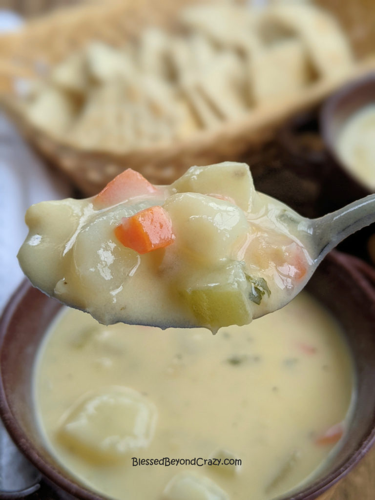 Close-up of spoonful of clam chowder