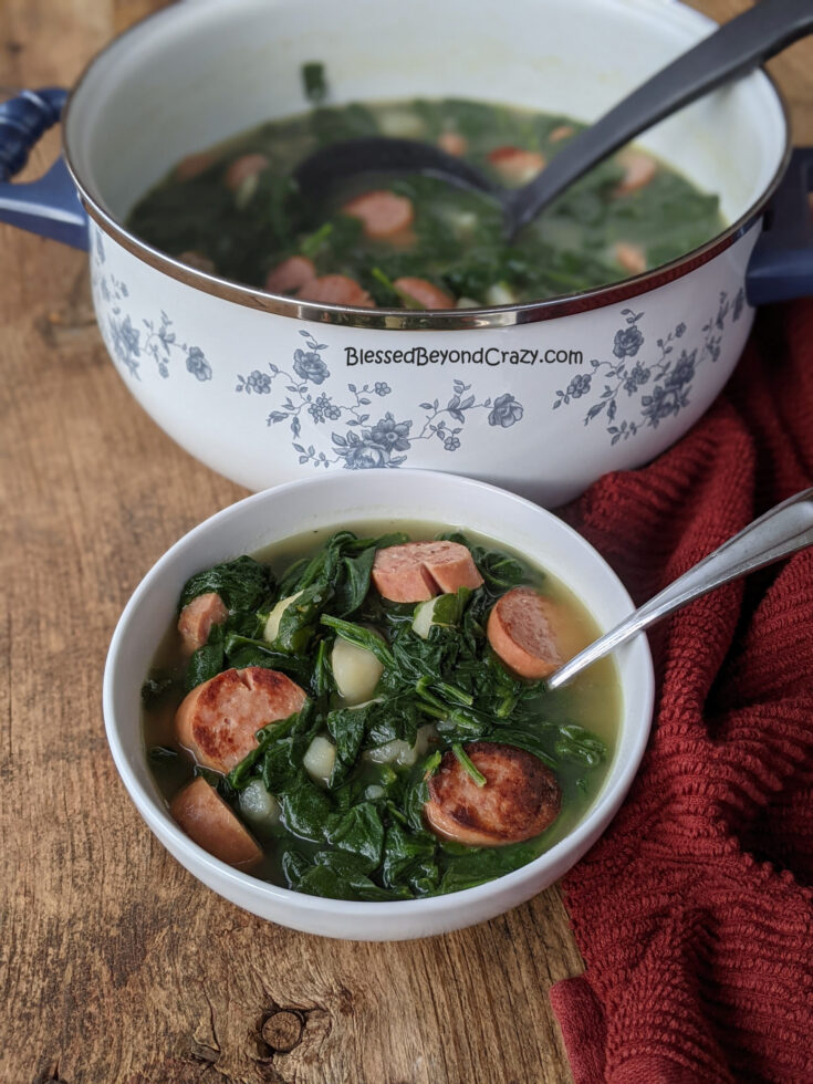 Grandma's Old-Fashioned Spinach Stew ready to serve
