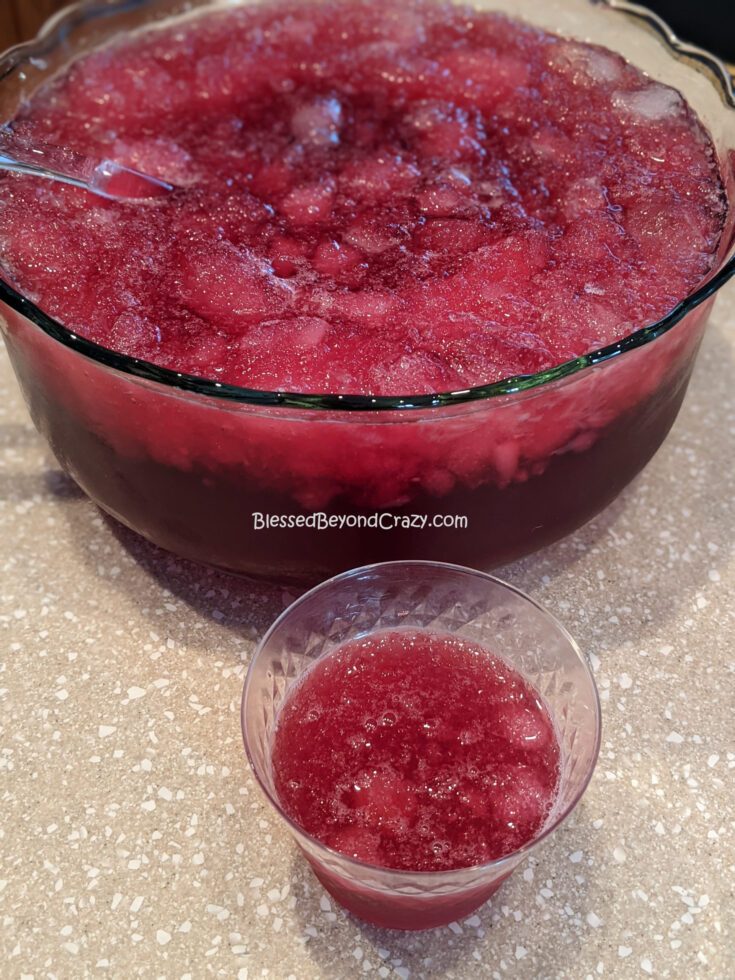 Cranberry Pomegranate Party Punch
