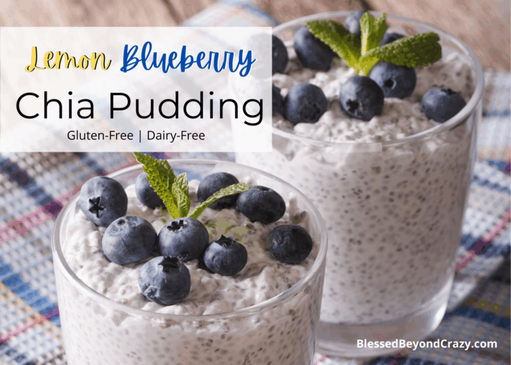 Lemon Blueberry Chia Pudding