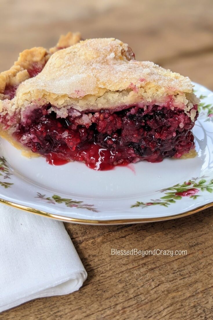 Rustic Cast Iron Skillet Blackberry Pie