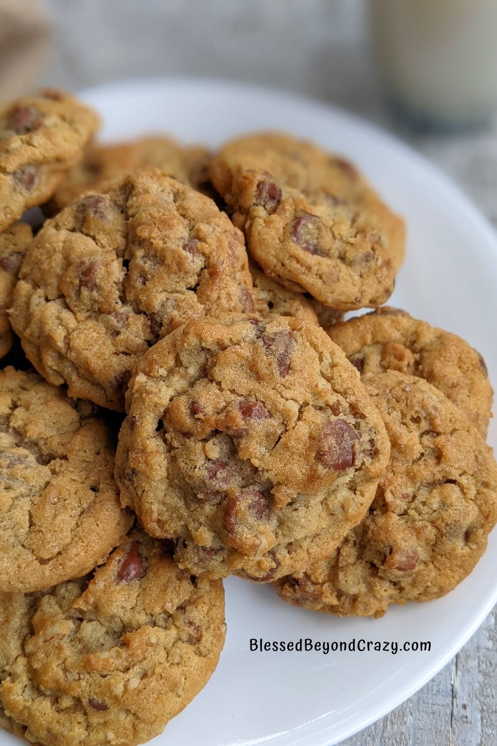 Multiple chocolate chip cookies on white plate