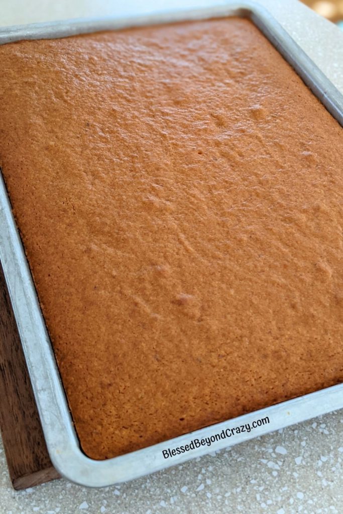 Freshly baked Pumpkin Bars