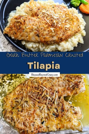 Easy Garlic Butter Parmesan Crusted Tilapia - Blessed Beyond Crazy