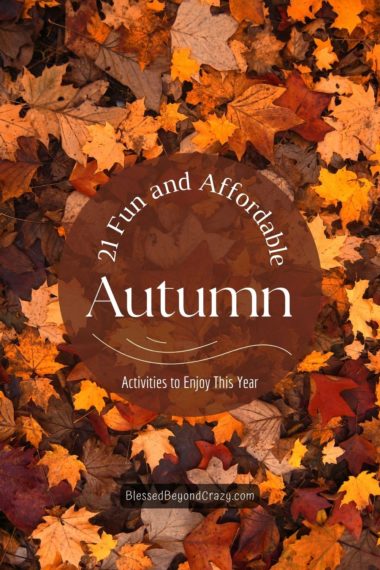 Pinterest Image for Affordable Autumn Activites