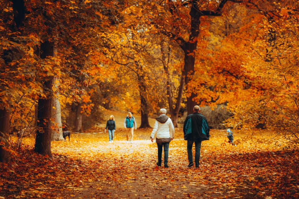 People walking through park in autumn