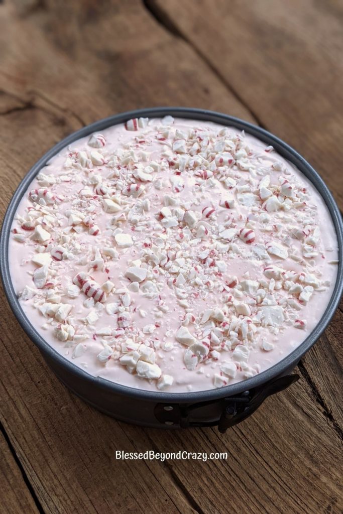 Close up view of crushed peppermint candies sprinkled evenly over the top of No-Bake Frozen Peppermint Dessert