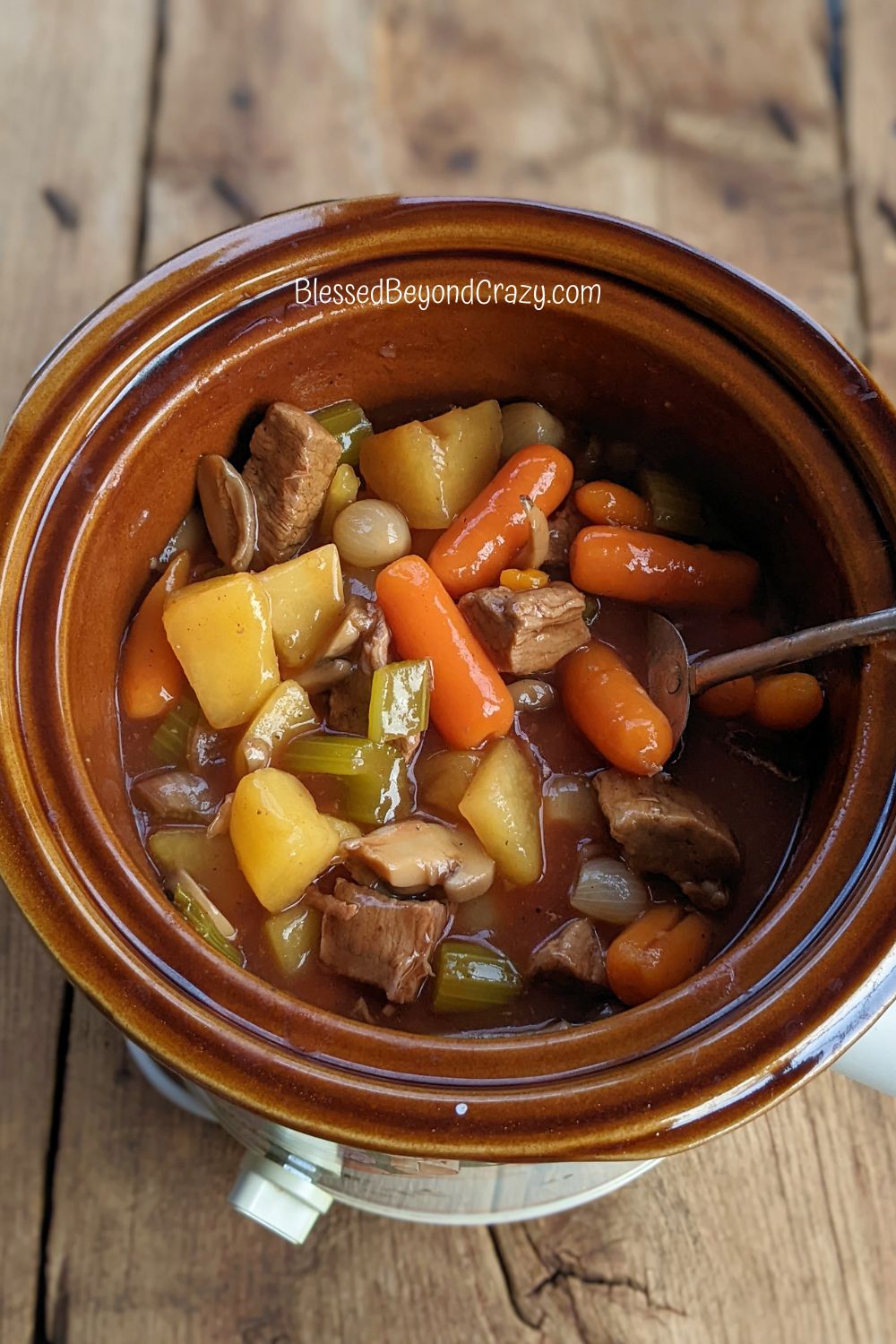 Slow Cooker Beef Stew - Together as Family