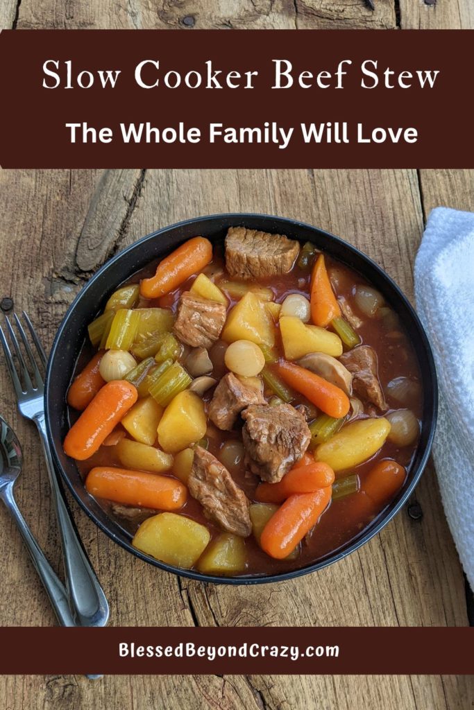 Pinterest image of overhead bowl full of beef stew.
