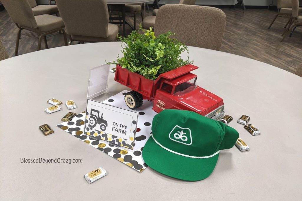 Farm themed table centerpiece for birthday party