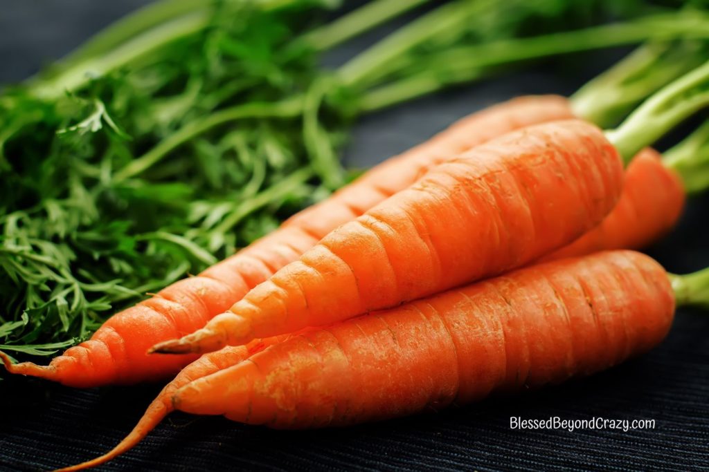 Close up view of fresh garden carrots on a cloth.