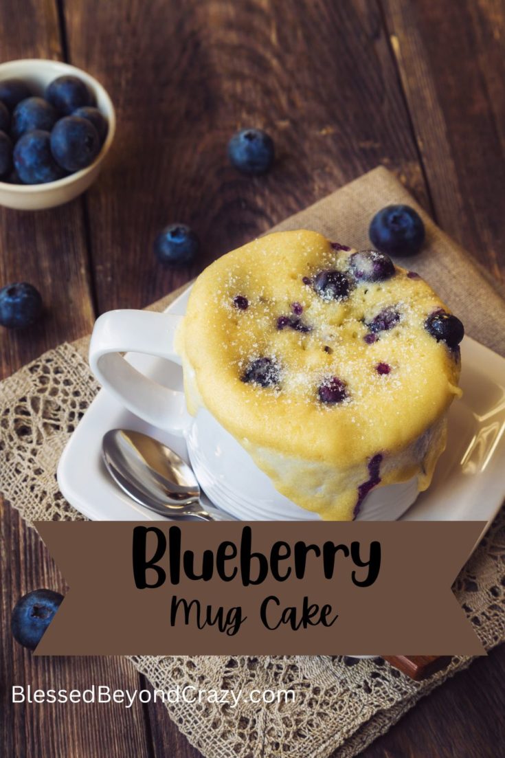 Blueberry Mug Cake: