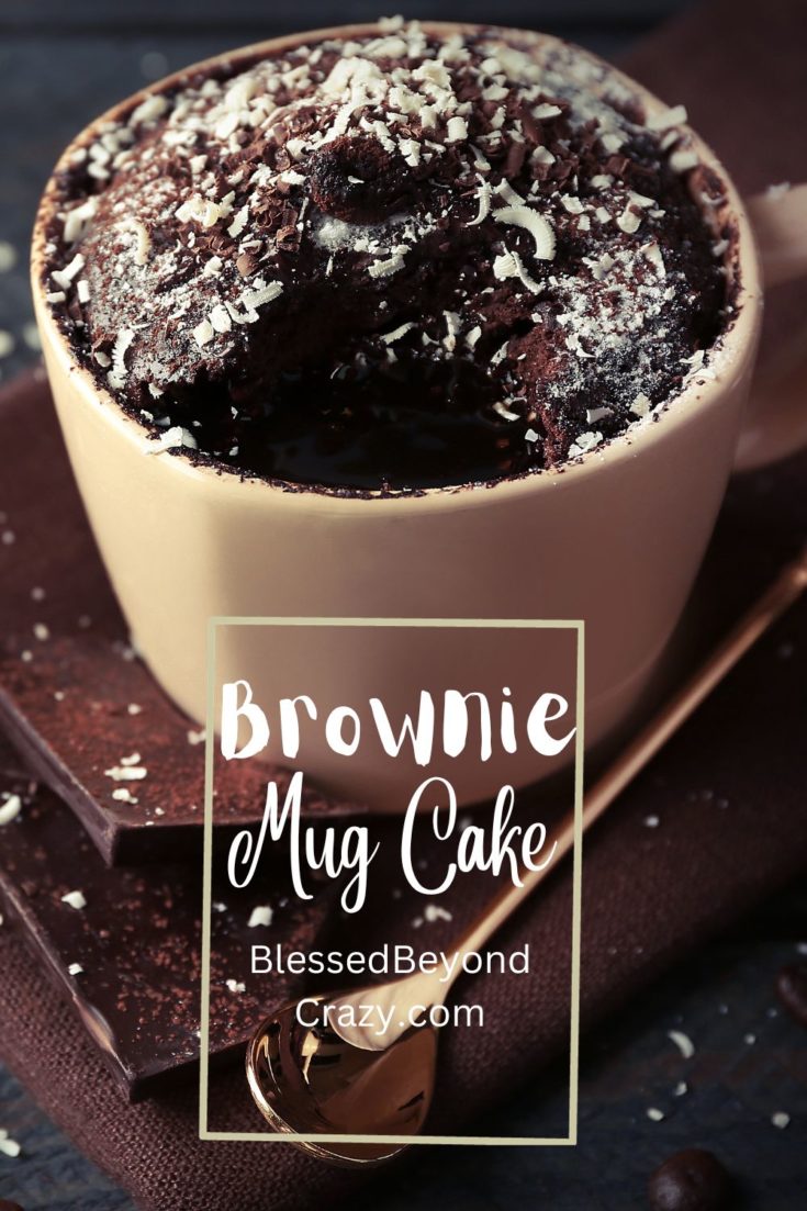 Brownie Mug Cake