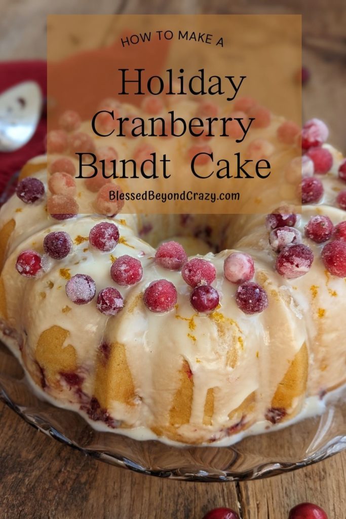 Pinterest image of Holiday Cranberry Bundt Cake