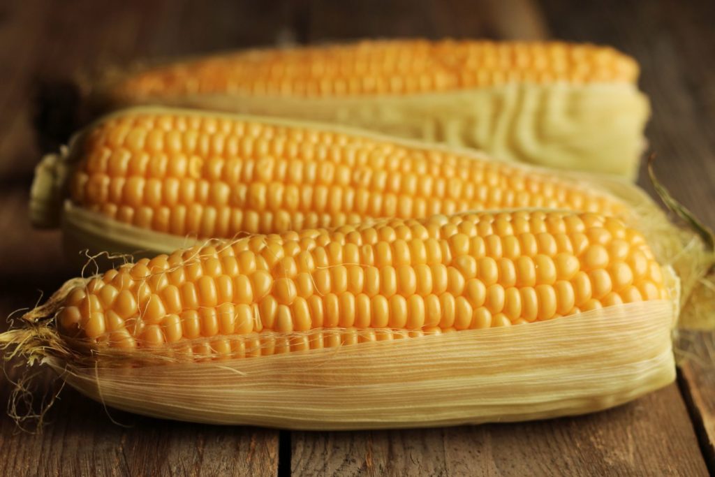 Three ears of corn on the cob