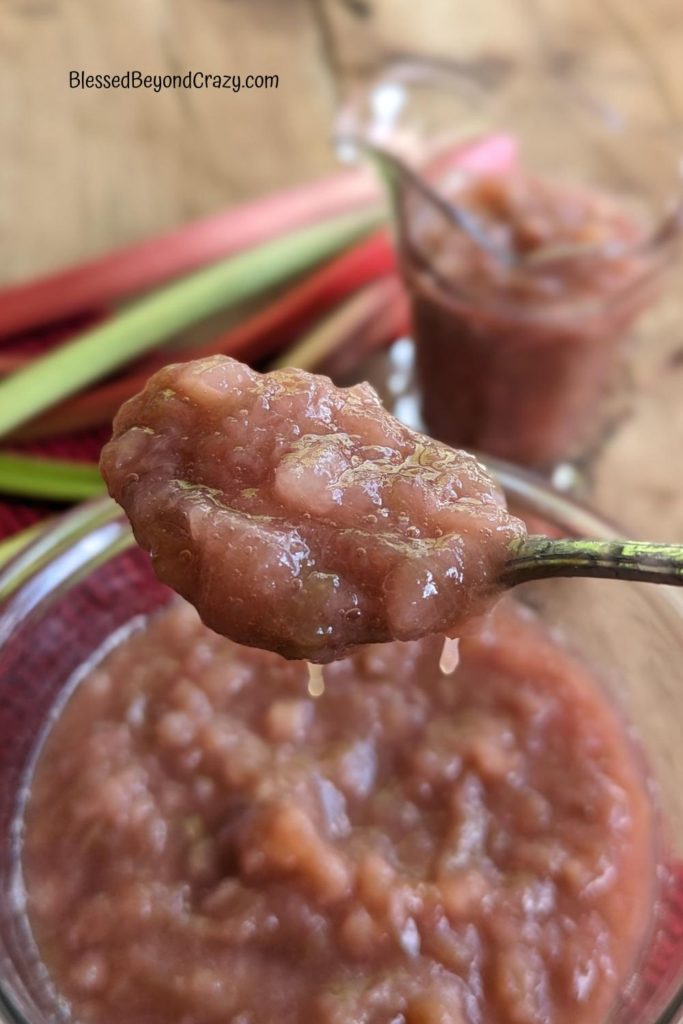 Close up view of a spoonful of Rhubarb Pineapple Sauce