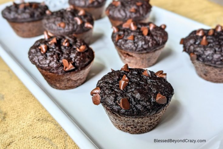 Mini Chickpea Chocolate Chip Muffins