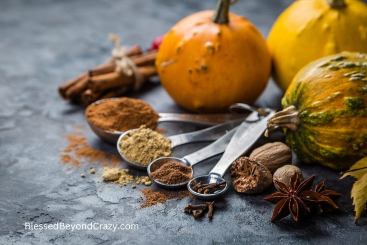 Homemade Pumpkin Pie Spice