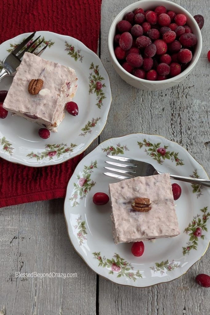 Overhead view of two individual servings of Cranberry Salad