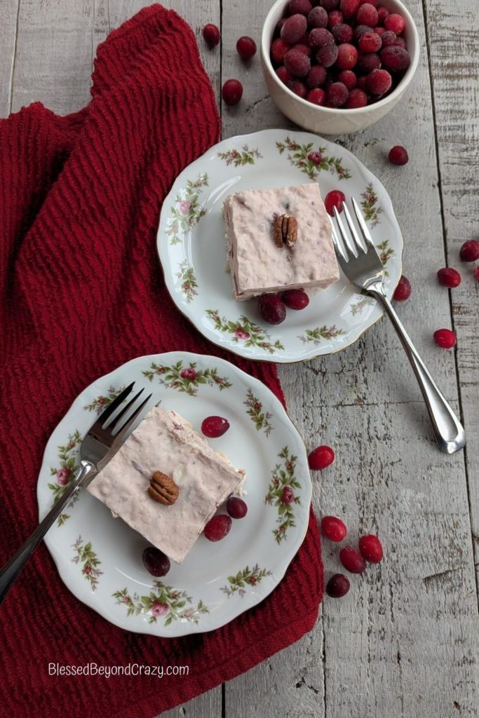 Overhead photo of two China serving plates with individual serving of Holiday Cranberry Salad with small bowl of whole cranberries in background.