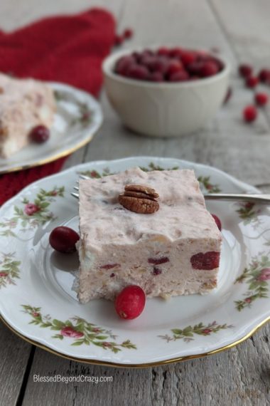 Close up side photo of individual serving of Holiday Cranberry Salad with small bowl of whole cranberries in background.