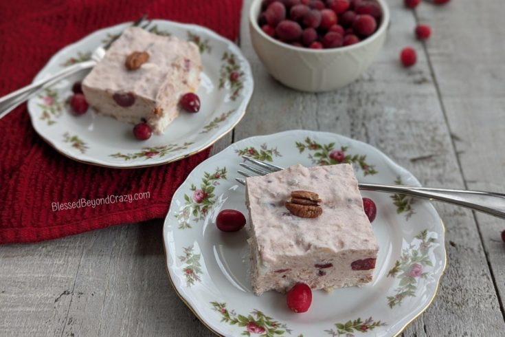 Horizontal photo of two servings of Cranberry Salad