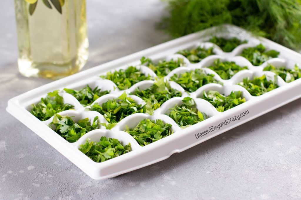 Photo of fresh herbs resting in ice cube tray.