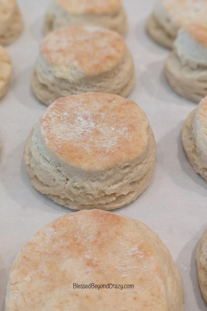 Freshly baked biscuits cooling on baking sheet.