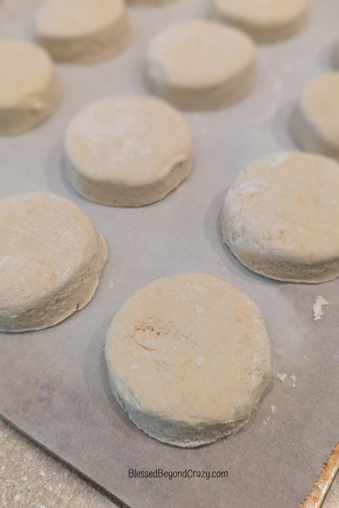 Cut out biscuits resting on baking sheet ready to put into the oven.