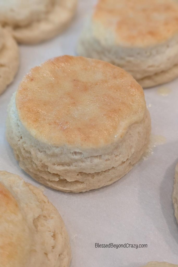 Close up photo of freshly baked biscuits with melted butter on top.